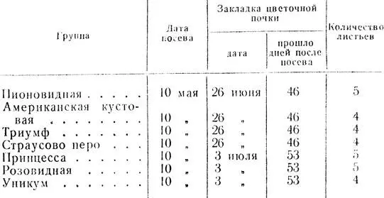 Таблица 2 Закладка цветочных почек у различных групп астр Пушкинские - фото 4
