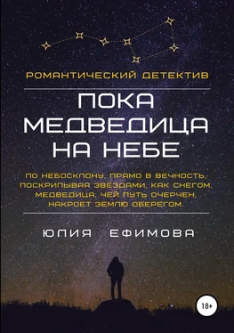 Юлия Ефимова Пока медведица на небе обложка книги
