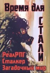 Денис Петриков - Время для стали