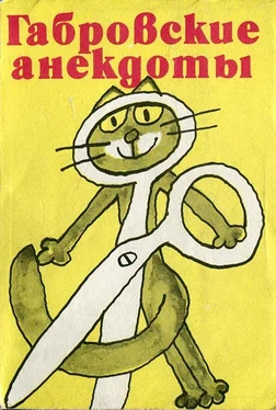 Стефан Фыртунов Габровские анекдоты (сборник) обложка книги