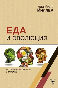 Джеймс Миллер Еда и эволюция [История Homo Sapiens в тарелке] обложка книги