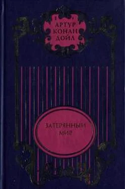 Артур Дойль Затерянный мир; Отравленный пояс; Рассказы о профессоре Челленджере; Туманная земля обложка книги