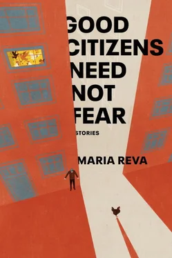 Maria Reva Good Citizens Need Not Fear: Stories обложка книги