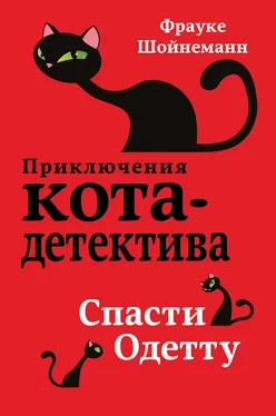 Фрауке Шойнеманн Спасти Одетту обложка книги