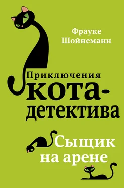 Фрауке Шойнеманн Сыщик на арене обложка книги