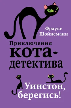 Фрауке Шойнеманн Уинстон, берегись! обложка книги