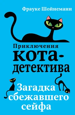 Фрауке Шойнеманн Загадка сбежавшего сейфа обложка книги