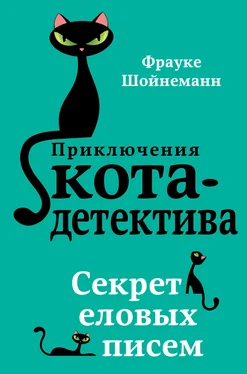 Фрауке Шойнеманн Секрет еловых писем обложка книги