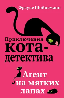 Фрауке Шойнеманн Агент на мягких лапах обложка книги