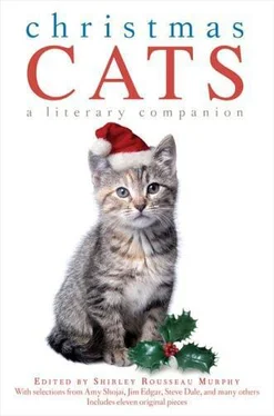 Shirley Murphy Christmas Cats: A Literary Companion обложка книги