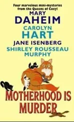 Ширли Мерфи - Tomcat