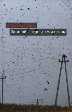 Юлия Кокошко За мной следят дым и песок обложка книги