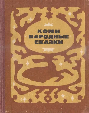 Федор Плесовский Коми народные сказки обложка книги