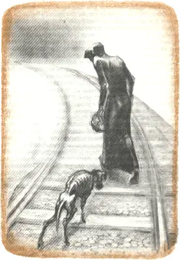 Через несколько дней когда Ана Пауча как и каждый день шла в морг собаку у - фото 1