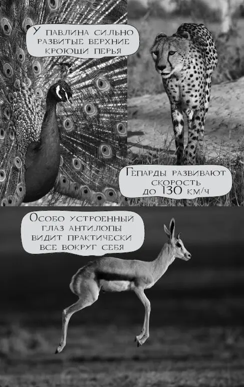 Углерод одна из главных составляющих жизни он есть в каждой молекуле - фото 30