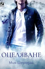 Миа Шеридан - Оцеляване