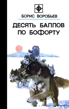 Борис Воробьев Последняя ночь обложка книги