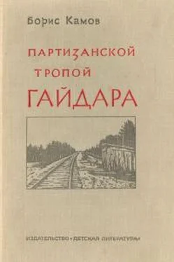 Борис Камов Партизанской тропой Гайдара обложка книги