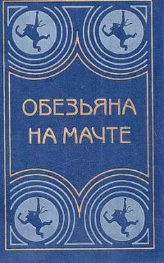 Тур Хейердал Обезьяна на мачте обложка книги