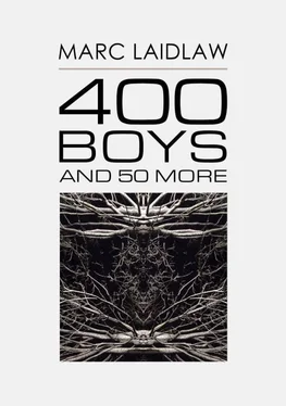 Марк Лэйдлоу 400 Boys and 50 More обложка книги