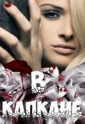 Светла Литвин - В капкане (СИ)