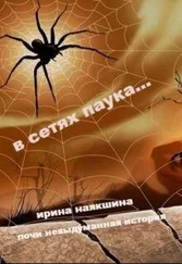 Ирина Наякшина - В сетях паука... (СИ)