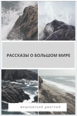 Дмитрий Вишневский Рассказы о большом мире обложка книги