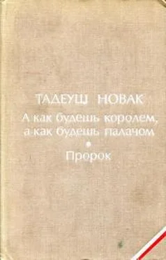 Тадеуш Новак А как будешь королем, а как будешь палачом. Пророк обложка книги