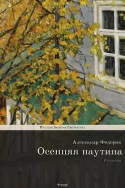 Александр Федоров Осенняя паутина обложка книги