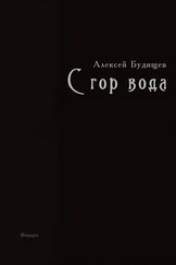 Алексей Будищев - С гор вода