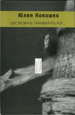 Юлия Кокошко Шествовать. Прихватить рог… обложка книги