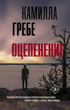 Камилла Гребе Оцепенение обложка книги