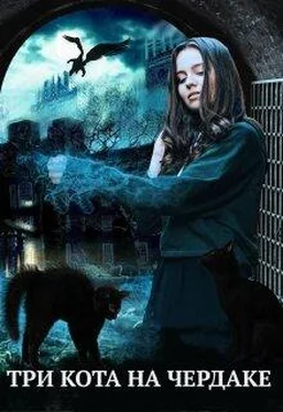 Алиса Чернышова Три кота на чердаке, или служанка в проклятом доме [СИ] обложка книги