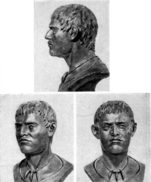 Ямник Вот такая теория Не будучи биохимиком или генетиком не могу спорить с - фото 3