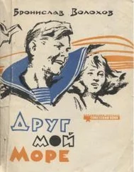 Бронислав Волохов - Друг мой море