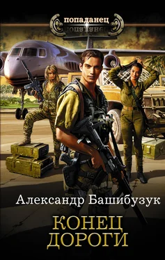 Александр Башибузук Конец дороги [litres] обложка книги