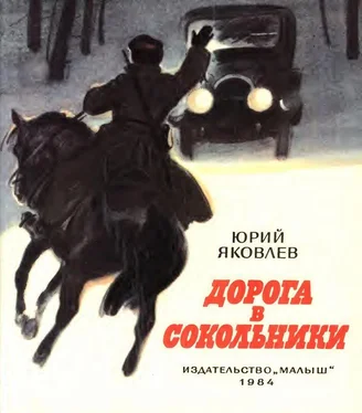 Юрий Яковлев Дорога в Сокольники обложка книги