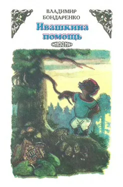 Владимир Бондаренко Ивашкина помощь [Сказки] обложка книги