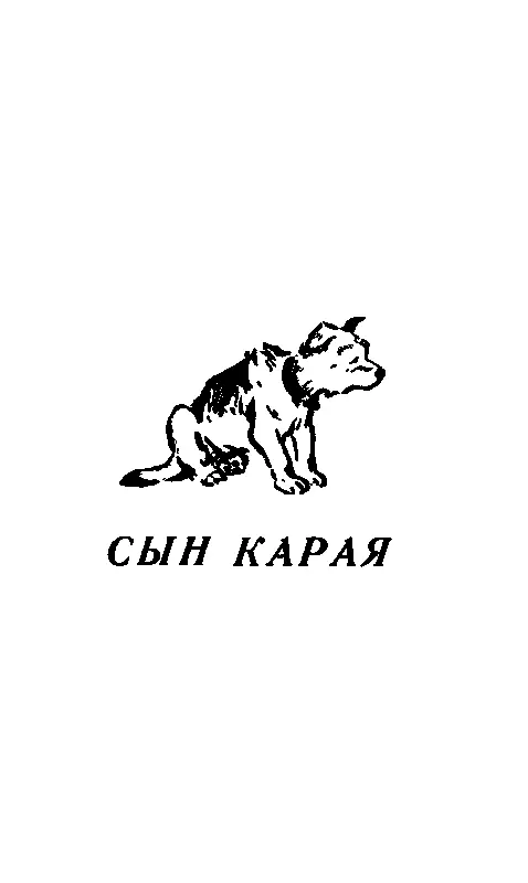 СЫН КАРАЯ ЧАСТЬ ПЕРВАЯ ХОЗЯИН И СОБАКА ДЕЛОВОЙ КОНТАКТ Даже у ноги он ходил - фото 28