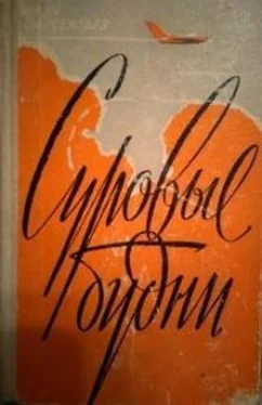 Иван Арсентьев Суровые будни (дилогия) обложка книги