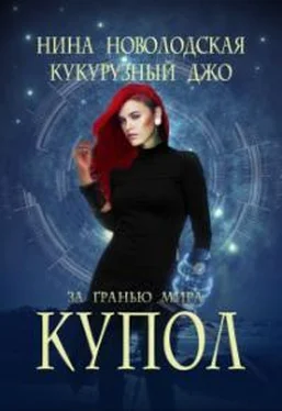 Нина Новолодская За гранью мира. Купол обложка книги