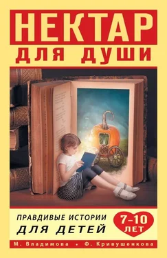 Марина Владимова Нектар для души. Правдивые истории для детей от 7 до 10 лет обложка книги