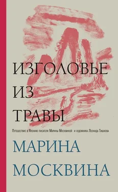 Марина Москвина Изголовье из травы обложка книги