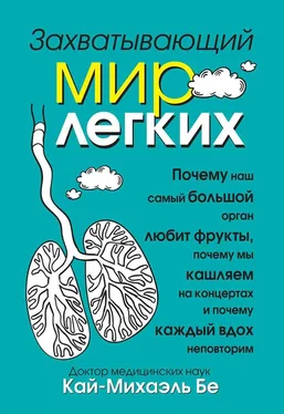 Кай-Михаэль Бе Захватывающий мир легких обложка книги