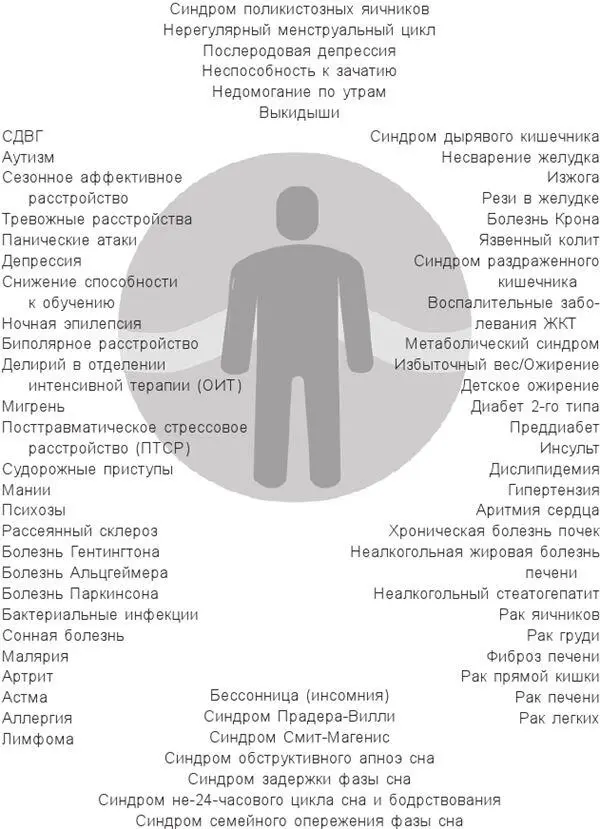 Болезни связанные с циркадными нарушениями К какой категории работающих - фото 1