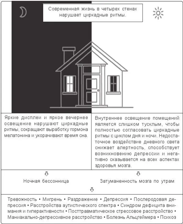 Современная жизнь в четырех стенах нарушает циркадные ритмы и вызывает - фото 3