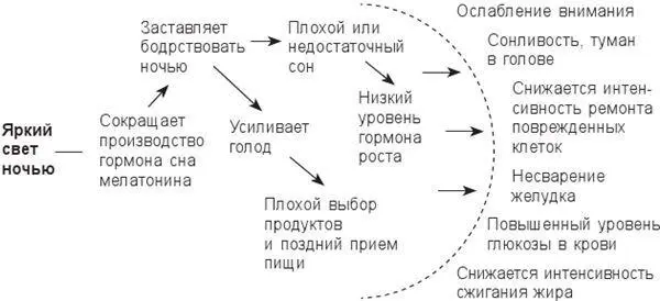 Яркий свет в темное время суток вызывает эффект домино в мозге и теле Если вы - фото 13