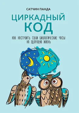 Сатчин Панда Циркадный код. Как настроить свои биологические часы на здоровую жизнь обложка книги