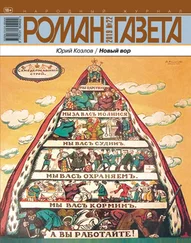 Юрий Козлов - Новый вор