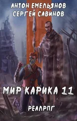 Антон Емельянов - Тайна Кота [СИ]